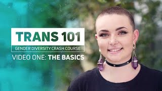 Trans 101  The Basics [upl. by Ultann]