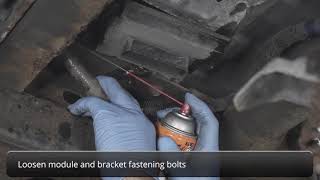 Dorman How to Install a Fuel Pump Module [upl. by Nekciv]