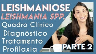 Leishmaniose Leishmania spp  Parte 2  PARASITOLOGIA 5 [upl. by Fontana]