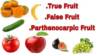 Fruits True Fruit False Fruit Parthenocarpic fruit Fruits for NEET 2 1 Bsc and other competition [upl. by Yelraf]