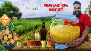 അക്വാറിയത്തിൽ വൈൻ ഇട്ടപ്പോൾ  WINE IN AQUARIUM  CAMP SETTERS [upl. by Pressey]