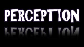 What Is Perception 2 Key Points To Remember [upl. by Merwin567]