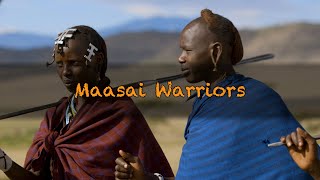 Maasai Warriors [upl. by Karia]