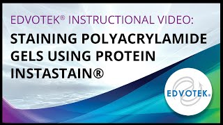 Staining Polyacrylamide Gels using Protein Instastain [upl. by Cheng562]