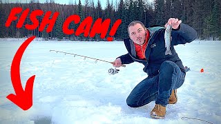 ICE FISHING in Washington State Trout Catch amp Cook Adventure w UNDERWATER FOOTAGE [upl. by Etireugram]