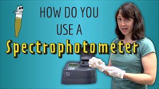 How do you use a Spectrophotometer A stepbystep guide [upl. by Sidman559]