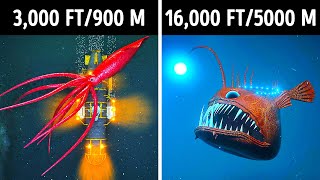 Fascinating 3D Journey to the Ocean Depths [upl. by Antonie]