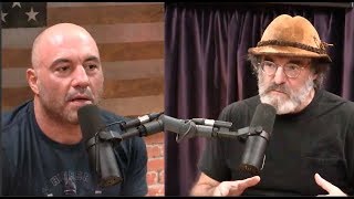 Joe Rogan Is Stunned By Paul Stamets Stories About the Multiverse [upl. by Nnaeilsel]