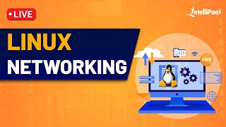 Linux Networking  Linux Networking Commands  Linux Networking Tutorial  Intellipaat [upl. by Baerman]