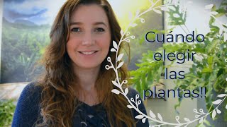 Diseño de jardines  Consejos Elegir las plantas [upl. by Odraode]