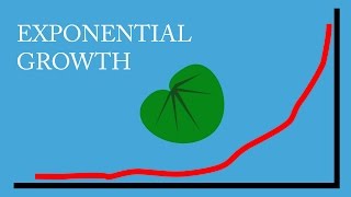 Exponential Growth a Commonsense Explanation [upl. by Nnahsal728]