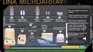 DNA microarray [upl. by Mahan]