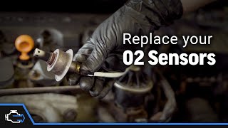 O2 Sensors – 20062011 18L Honda Civic [upl. by Vivia]