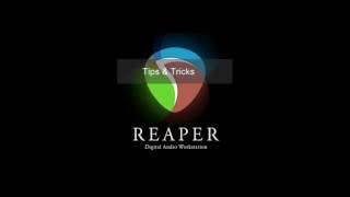 Reaper DAW Fast transposing Audio Items [upl. by Hcirteid]