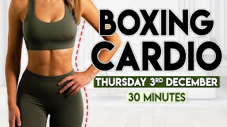 BOXING CARDIO BURN  30 minute Home Workout [upl. by Horten]