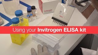 Using your Invitrogen ELISA kit [upl. by Ttennaej]