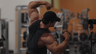 IFBB Pro Arm Workout [upl. by Dacia]