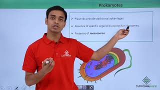 Class 11th  Prokaryotes – Introduction  Cell The unit of Life  Tutorials Point [upl. by Enilrad]