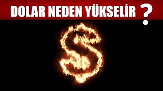 DOLAR NEDEN YÜKSELİR  DÖVİZ NEDEN YÜKSELİR [upl. by Conover]