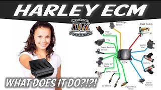 How the Electronic Control Module ECM Adapts [upl. by Neenad]