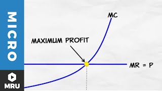 Maximizing Profit Under Competition [upl. by Otti]