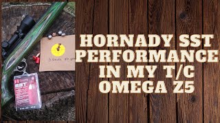 Hornady SST 250 grain Sabot Muzzleloader Performance [upl. by Aniretake290]