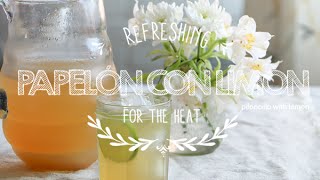 How to make Piloncillo with Lemon or Papelón con limón Venezuelan [upl. by Sileray]