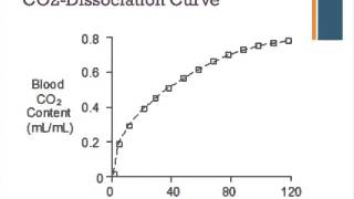 Oxygen and Carbon Dioxide Dissociation Curves [upl. by Ikceb]