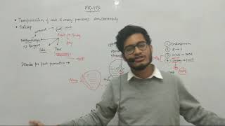 L31 Fruit development True false parthenocarpic dry amp fleshy fruits by Vipin Sharma [upl. by Oileve]