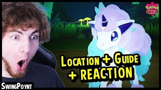 Galar Ponyta  Rapidash Guide and REACTION  Pokemon Shield Exclusive Pokemon Sword amp Shield [upl. by Sharlene]