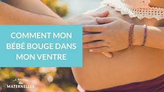 Comment mon bébé bouge dans mon ventre  La Maison des maternelles LMDM [upl. by Yolanthe]