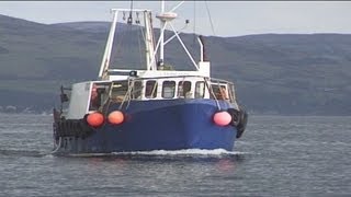 Trawling and Tubing Live Nephrops Prawns [upl. by Nauqyaj]