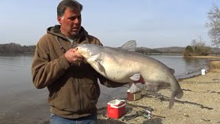 Basic Guide To Catching Big Catfish [upl. by Hetty]