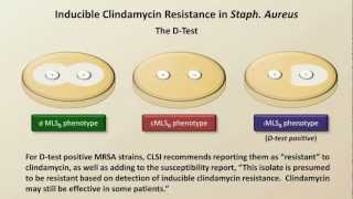 Antibiotic Resistance Antibiotics  Lecture 9 [upl. by Wanfried]