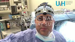 How to Perform Nasal Irrigation After Surgery [upl. by Rosane654]