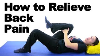 Beginners Back Exercises that Strengthen your Back [upl. by Ackley]