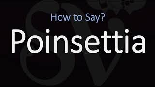 How to Pronounce Poinsettia CORRECTLY [upl. by Iphagenia]