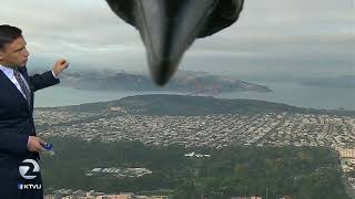 Bird photobombs weather report  KTVU [upl. by Chandra]