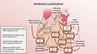 Intro to EKG Interpretation  Myocardial Infarctions Part 1 of 2 [upl. by Llorre952]