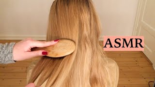 ASMR 1 HOUR HAIR BRUSHING COMPILATION NO TALKING [upl. by Aneet]