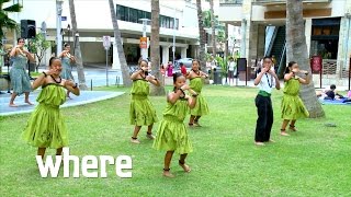 Hawaiian Culture Video The Story of Hula Dancing [upl. by Dasi342]