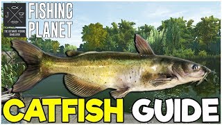 CATFISH Fishing Guide  Fishing Planet Tips [upl. by Salema743]