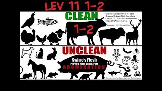 Leviticus 11 Clean And Unclean Animals what to eat or not to eat 12 [upl. by Aivad]