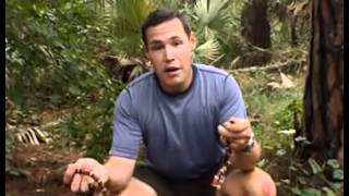 The Jeff Corwin Experience Florida Part 3 [upl. by Eniger260]