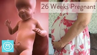 26 Weeks Pregnant What You Need To Know  Channel Mum [upl. by Fitzger]