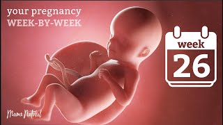 26 Weeks Pregnant  Natural Pregnancy WeekByWeek [upl. by Almat]