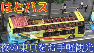 【はとバス】夜の東京をお手軽観光！ [upl. by Rasaec]