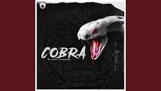 Cobra [upl. by Esidarap]