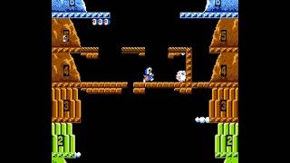 NES Longplay 250 Ice Climber [upl. by Gayn]