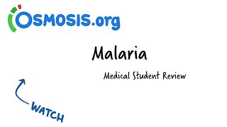 Malaria  Osmosis Study Video [upl. by Enaek]